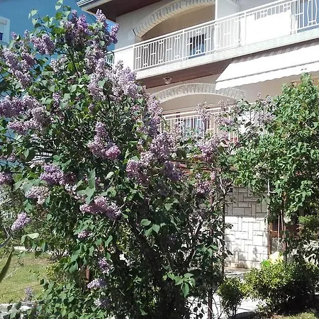 Lucija